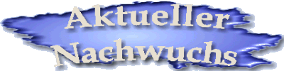 Aktueller Nachwuchs